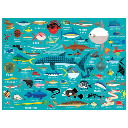 Ocean Life
