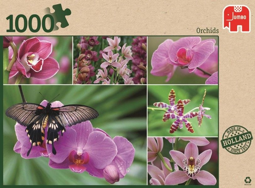 Orchids