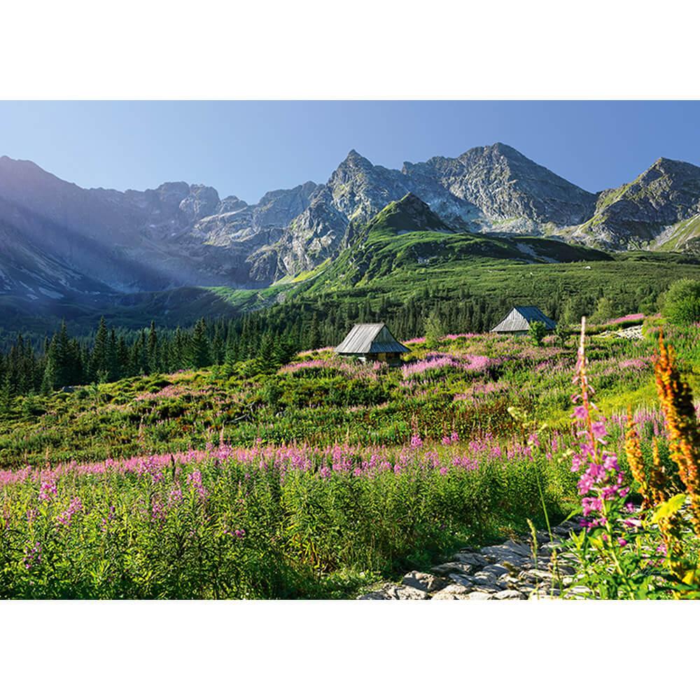 Gasienicowa Hall in Tatras (1000pcs)