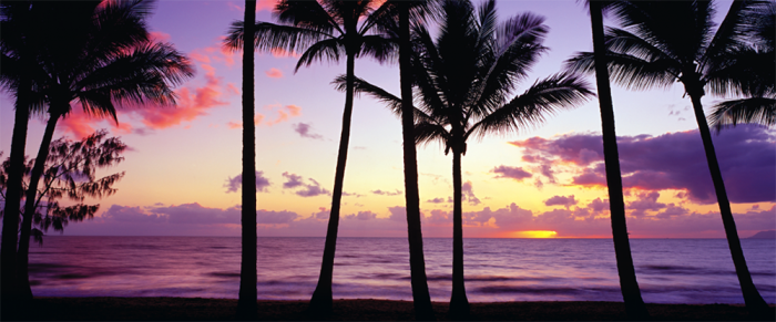 Palm Cove - Queensland, Australie (panoramique) 136 PCS