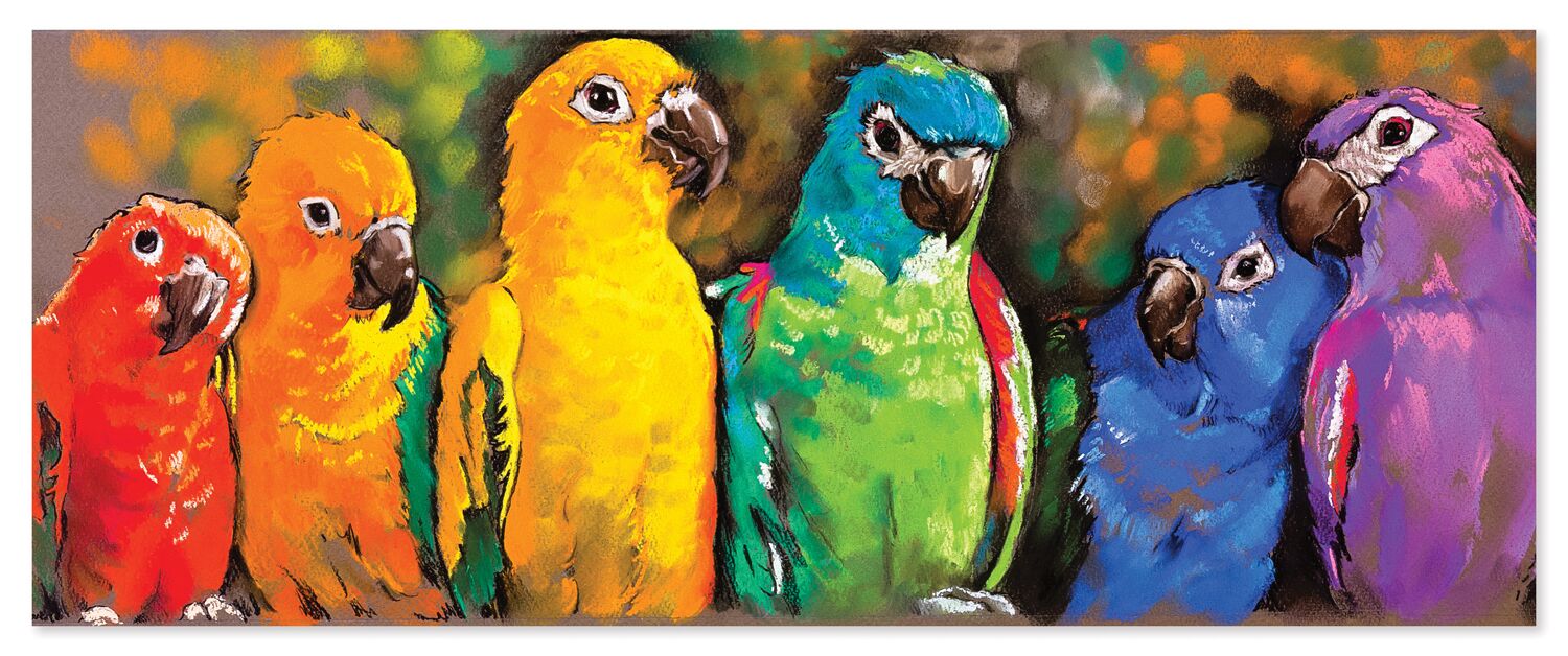Parrot Rainbow