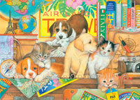 Animaux de compagnie en tournée, Amy Rosenburg