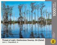 Fil de lumière PFG, Okefekekee Swamp, GA, John Cleaveland (utilisation / utilisée - Puzzles pour de bon)