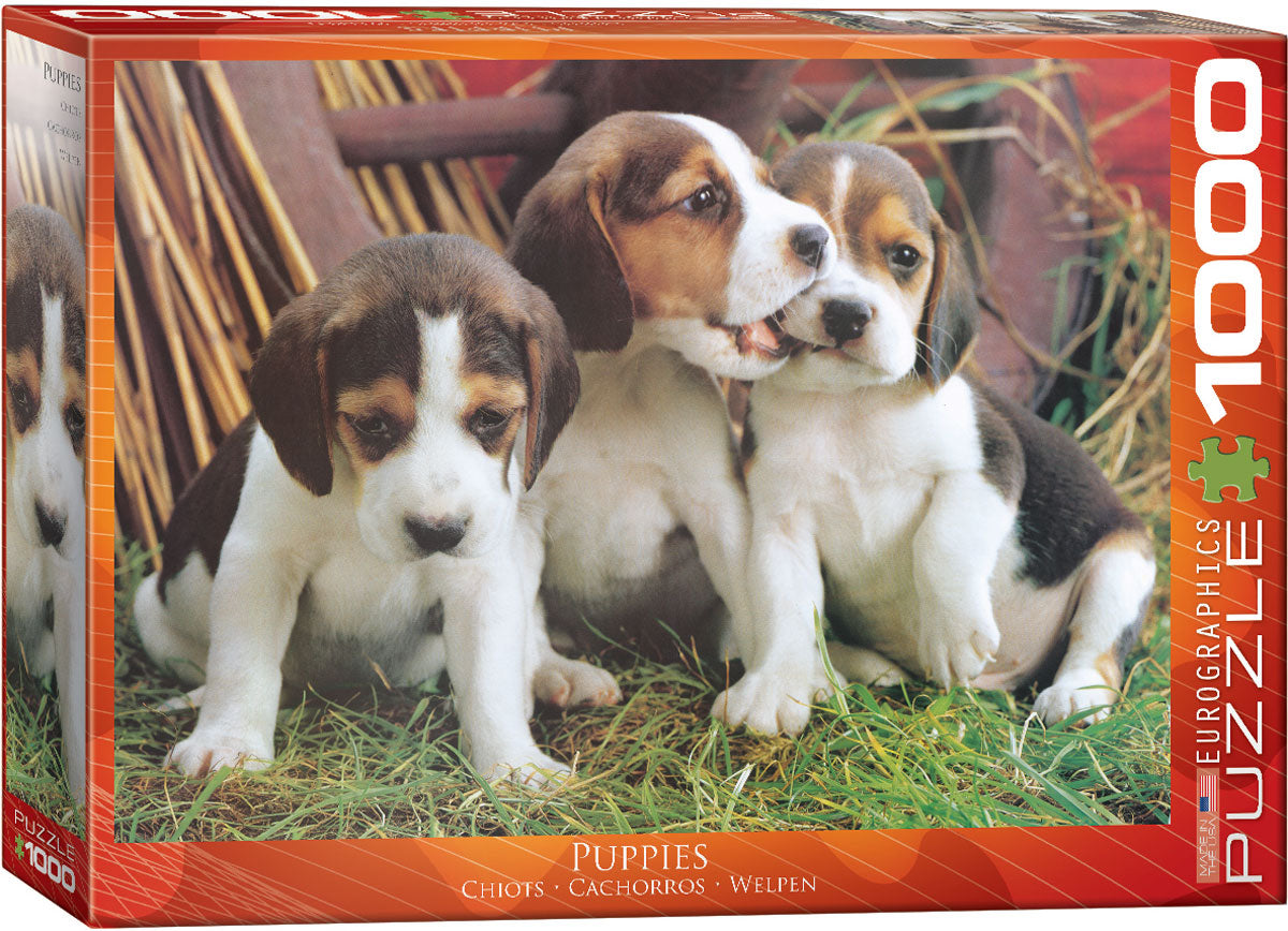 Puppies