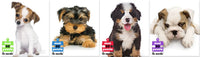 Chiot 4 pack mini puzzles