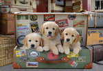 Chiots dans les bagages, Greg Cuddiford (500 PC)
