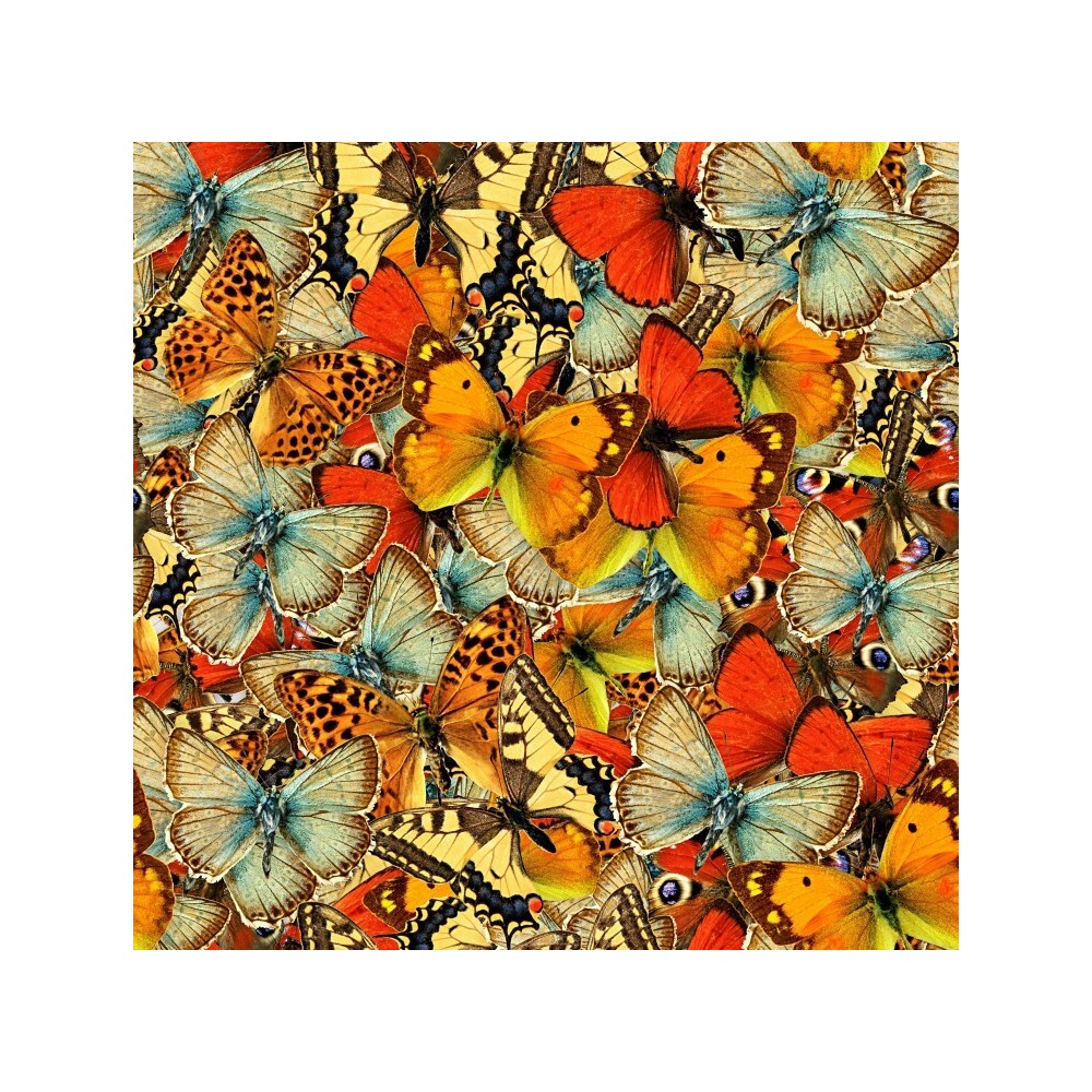 Butterflies Butterflies Butterflies! (1000pcs)