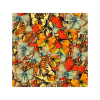 Papillons papillons papillons! (1000pcs)
