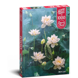 Lotus blanc (1000pcs)