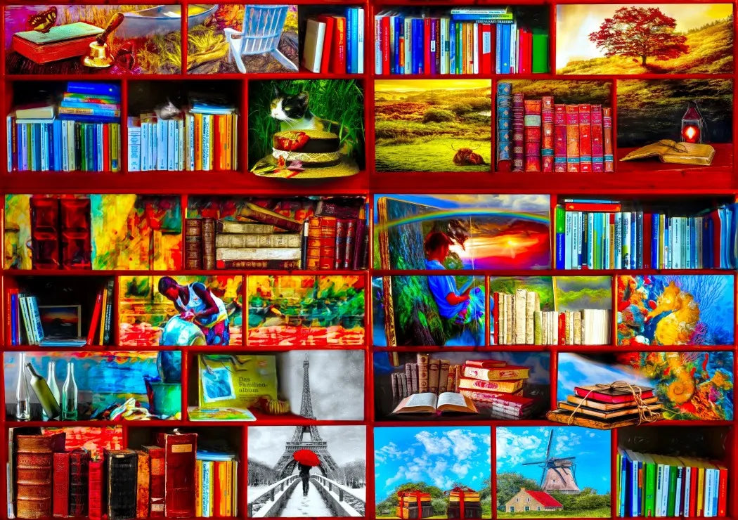 La bibliothèque la section de voyage (1000pcs)
