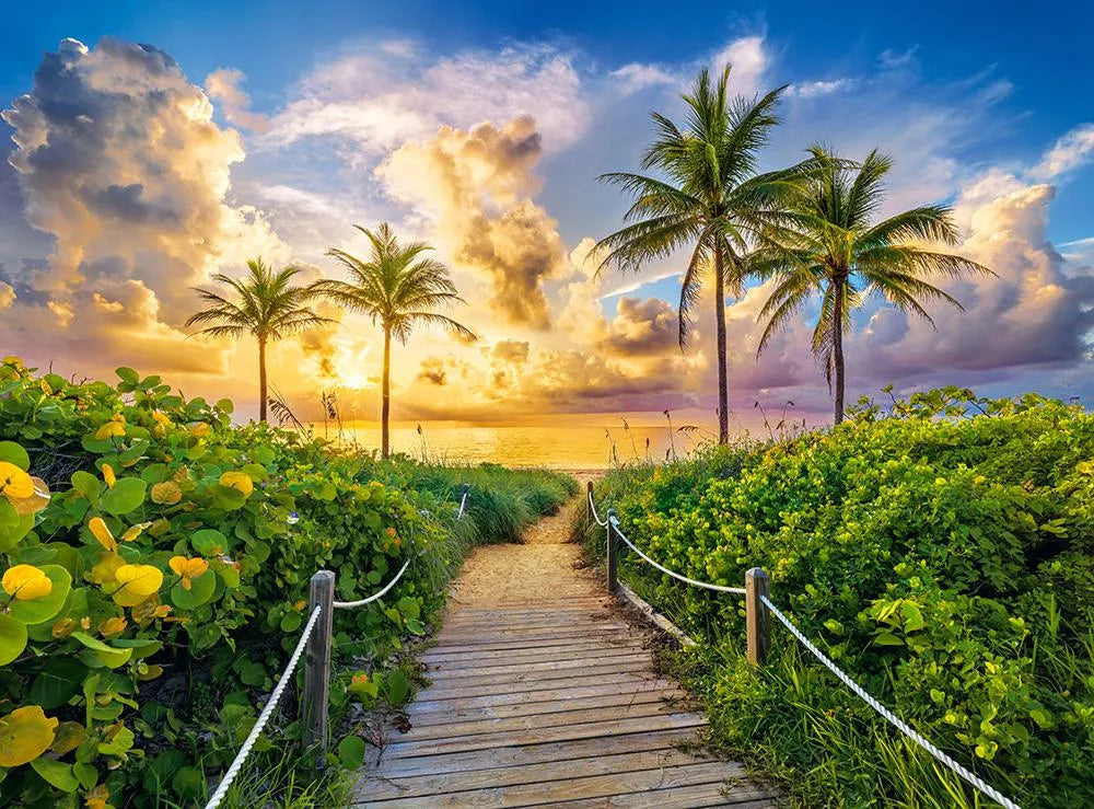 Colorful Sunrise in Miami, USA (3000pcs)
