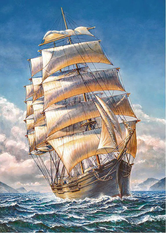 Sailing the WR Grace (1000pcs)