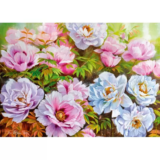 Peonyssimo Opus 5 (1000pcs)