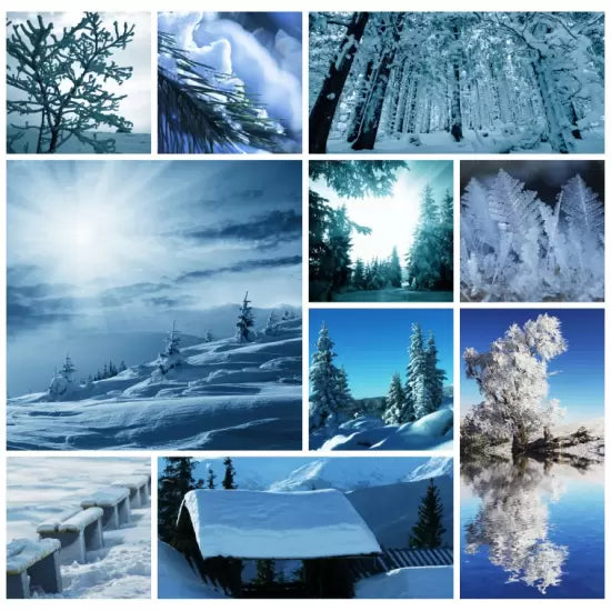 Collage - Winter (1000pcs)