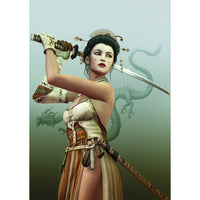 Ready to Fight (1000pcs)