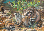 Raccoon Family, Amy Brackenbury (Family Puzzle)