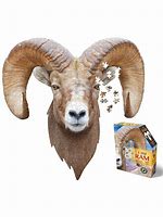 I Am Ram (550pcs)