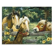 Voisins sympathiques de Ravensburger