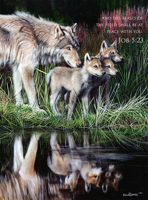 Reflections, Kevin Daniel