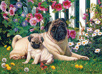 Famille PUG, Russell Cobane
