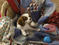 Jour de la blanchisse