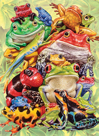 Pile de grenouilles, lori anzalone (puzzle de famille)