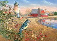 Cedar Waxwings, Sam Timm