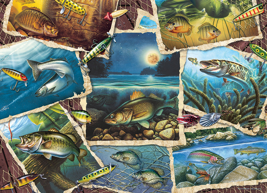 Fish Pics, Jon Q. Wright