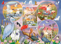 Waterbird Magic, Rosiland Salomon