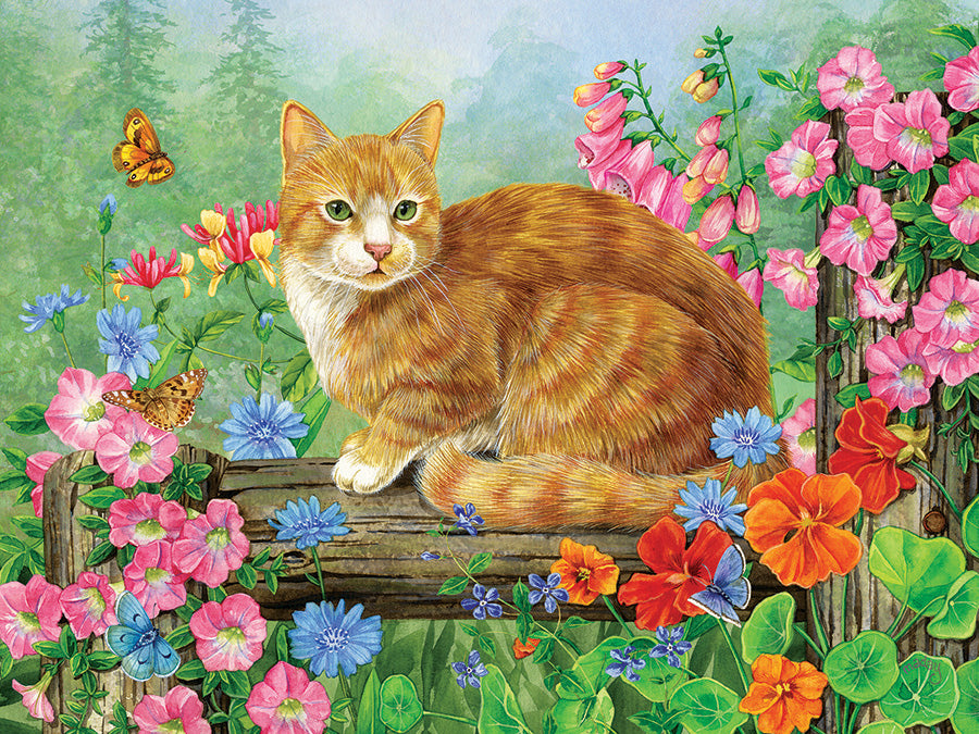 A Perfect Perch, Jane Maday