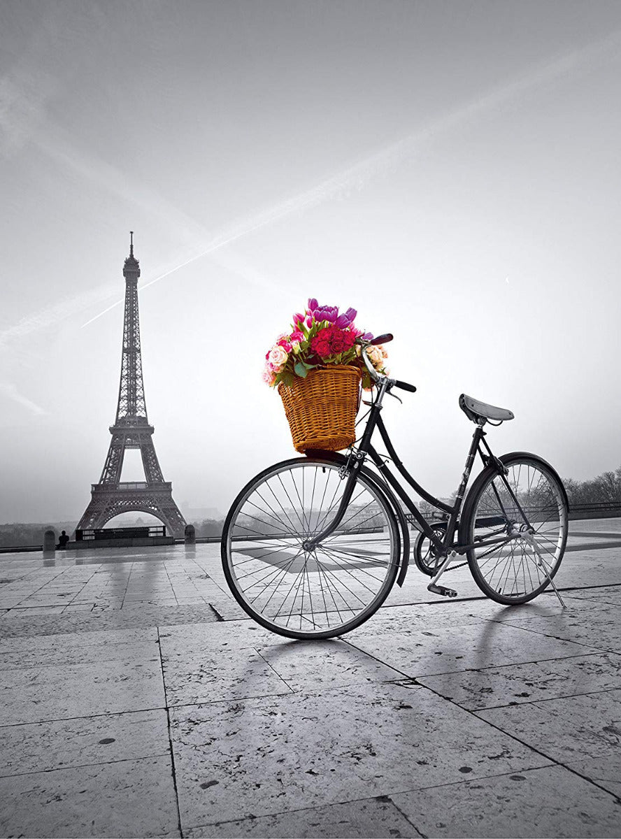 Romantic Promenade in Paris
