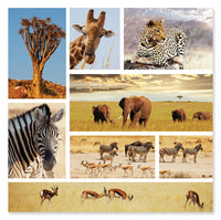 Safari Snapshots