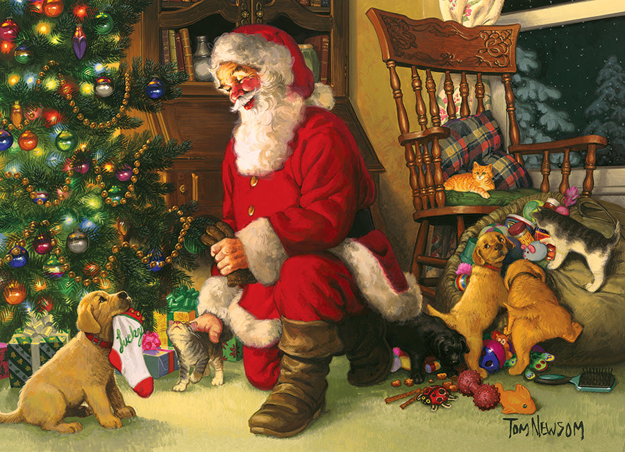 Santa's Lucky Stocking, Tom Newsom (Family Puzzle)