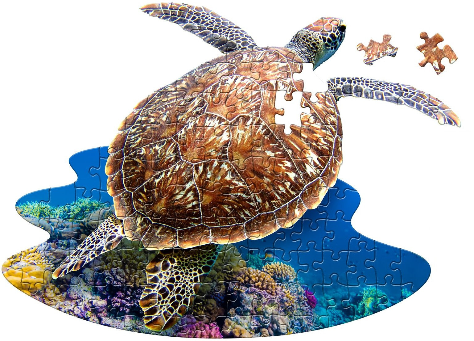 Je suis une petite tortue de mer (100pcs)