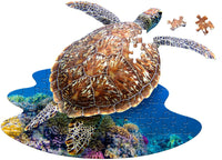 I Am Lil' Sea Turtle (100pcs)