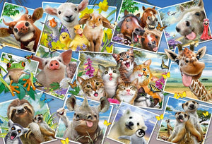 Selfies animaux, Howard Robinson