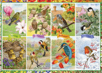 Oiseaux de jardin saisonniers, Sarah Adams
