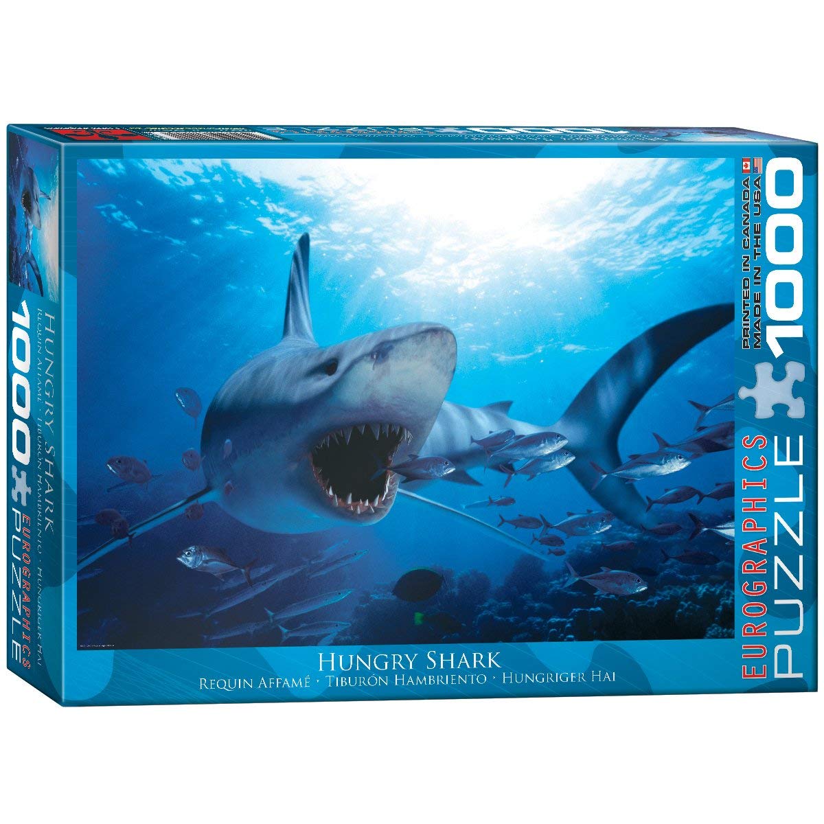Hungry Shark