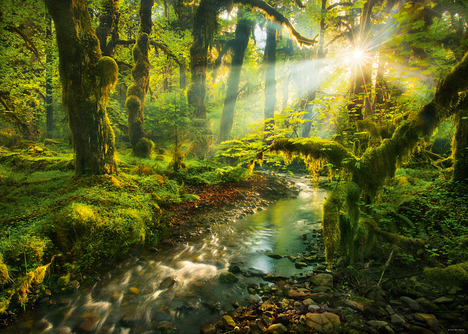 Spirit Garden - Magic Forests