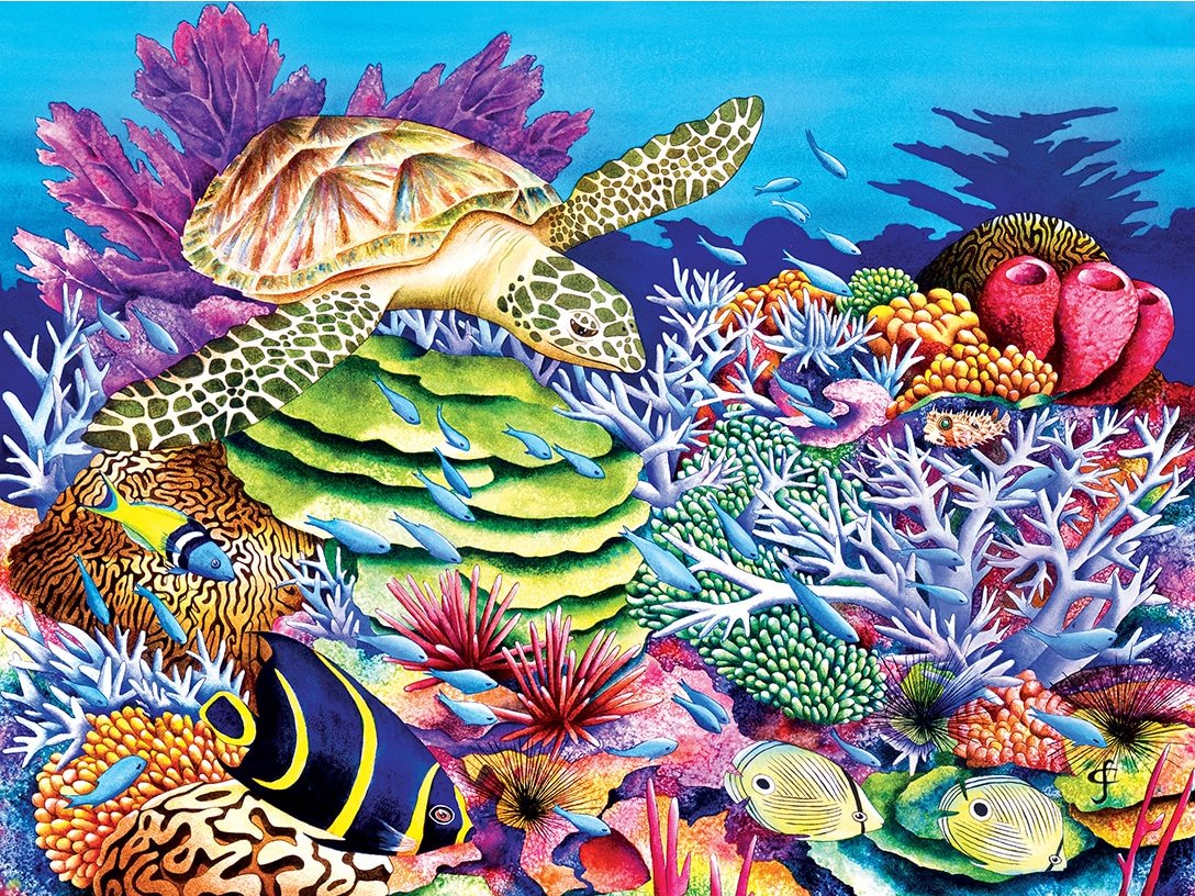 Sea Turtle Cove, Carolyn Steele