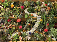 Succulent Garden, Jo-Ann Richards