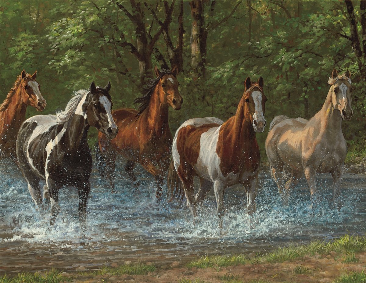 Summer Creek, Chris Cummings (500pcs)