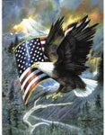Aigle américain