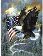 Aigle américain