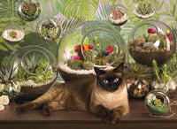 Terrarium Cat, Jo-Ann Richards