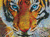 Tigre - photomosaïque