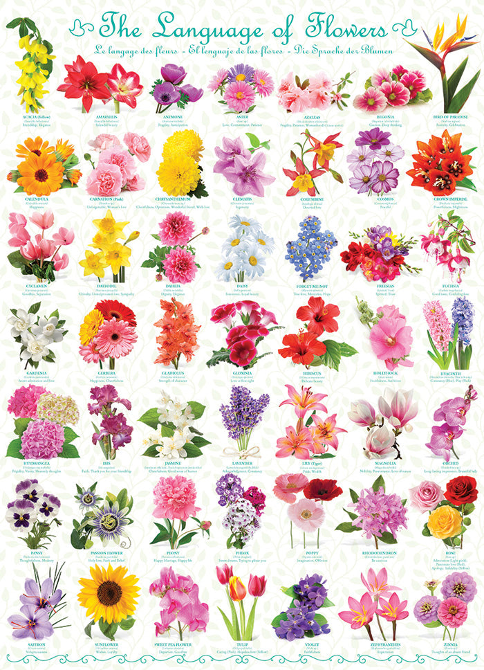 Language of Flowers (Recipe Included)