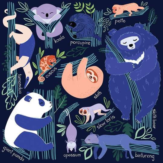 Tree-dwelling Slowpokes