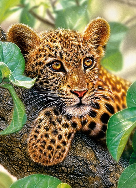 Tree Hugger, 300pc