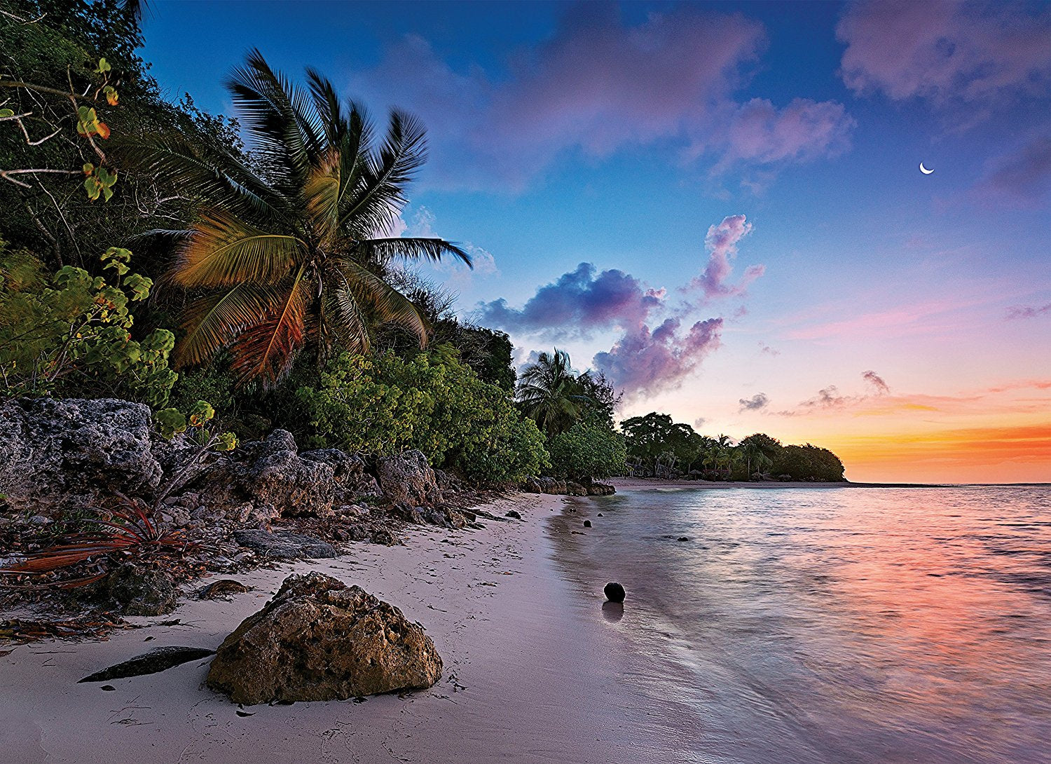 Tropical Idyll
